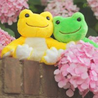 うぇーぶ(wave*.゚pickles) (@pickpick_wave) 's Twitter Profile