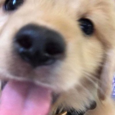 Nani__334's profile picture. 