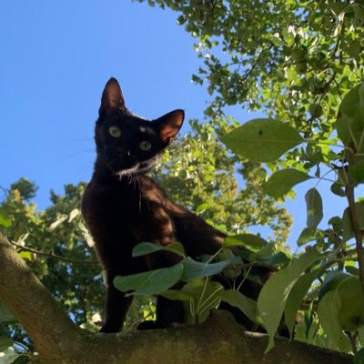 Paulina62259119's profile picture. Studentin in NRW