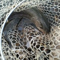 青龍 (@nankulu_naisa_) Twitter profile photo