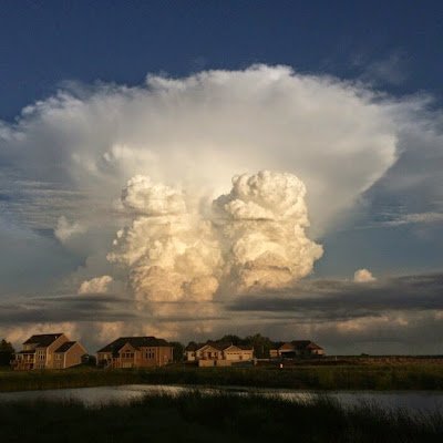 InsaneweatherA's profile picture. 