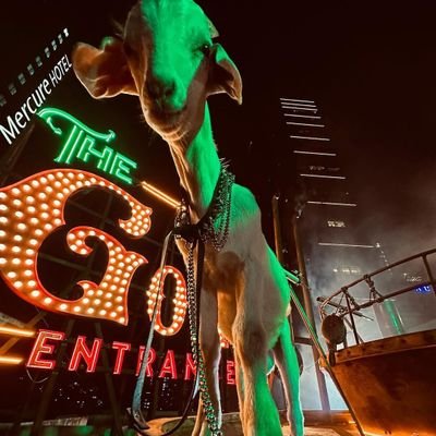 no1likeice's profile picture. '97                                                                                     
semi nsfw, might like/retweet some nsfw, follow at your own discretion