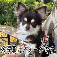 まり(@fielder115) 's Twitter Profile Photo