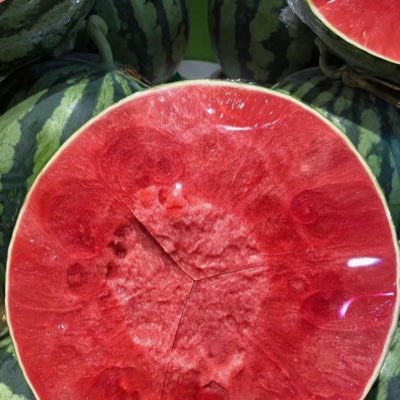 NgamSamran47938's profile picture. 