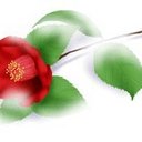 Krystle Cooper - @KrystleCooper - Twitter