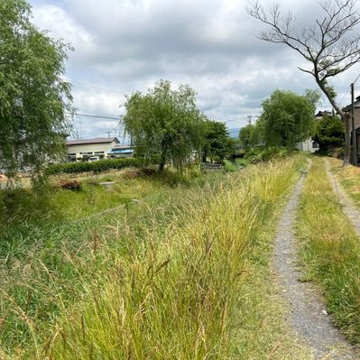 bookon0358's profile picture. 国内株、米国株、ETF、他。正社員（両親の病で退職）→パートタイマー&複副業。静かに過ごすことが好きです。趣味はいろいろ読書や散歩はライフワーク。必要に迫られて始めた料理が趣味に昇格しました。最近両親をがんで亡くした遺族で立ち直れずにいたりもしてます。 団体職員。セミリタイア目標！