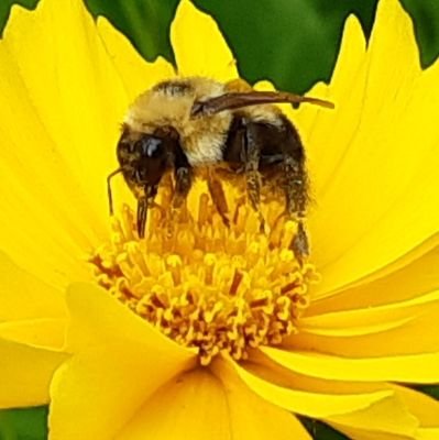 spearce6's profile picture. Facts do not cease to exist because they are ignored. Aldous Huxley