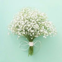 𝒴 (@sunny_ab1127) 's Twitter Profile Photo