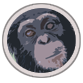 rollerchimp