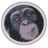 rollerchimp's profile image
