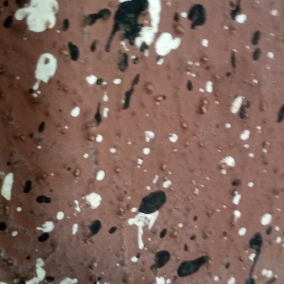 emilliepy's profile picture. @Mint_Blockchain