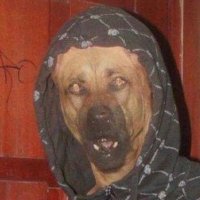 Leon Santana (@_leonsantana_) 's Twitter Profile Photo Leon Santana (@_leonsantana_) 's Twitter Profile Photo