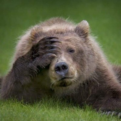 406_sonja's profile picture. 🇺🇸✝️Faith, Family, and Freedom ✝️🇺🇸                                                              
🚫NO DM's