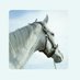いちご大福🐴 (@xwx4ktj0st) Twitter profile photo いちご大福🐴 (@xwx4ktj0st) Twitter profile photo