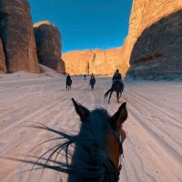 مها الودعاني (@cirtvy) 's Twitter Profile