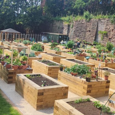 Greyfriars Biophilic Garden, a space for local residents to commune, socialise & grow their own food. An oasis in the city centre.  Bees love us, come visit!