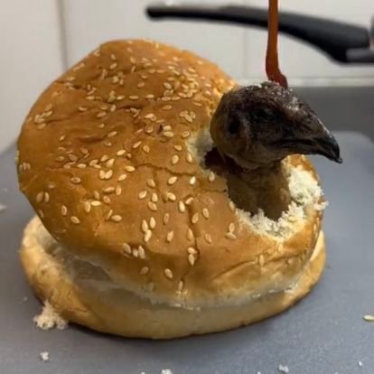 Raat_desvilles's profile picture. Leur dire que c'était nous les bons

@FCBarcelona