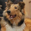 Kurt Austin - @KurtAustinYYC - Twitter