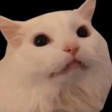 tiktokperisi's profile picture. Tiktoklarınızı iletmek veya içeriğinizi sildirmek için DM üzerinden ulaşabilirsiniz.