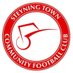 Steyning Town CFC Women and Girls (@stcfcwomen) Twitter profile photo