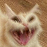 Burugozu (@burugozu) 's Twitter Profile
