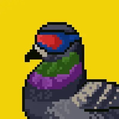 Sol Pigeons | Wicked Pigeons🐦 OG Pixel Art Studio