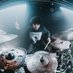 Sbeven (@drums_and_pizza) Twitter profile photo Sbeven (@drums_and_pizza) Twitter profile photo
