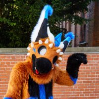 Demo โ๐โ EF (@demothedutchie) 's Twitter Profile