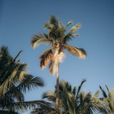 zachariahski's profile picture. Cybersecurity grad | Crypto Trader & enthusiast …Always learning and evolving!