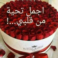 مجدالدين عبده احمد القباطي (@bdhalshwafy) 's Twitter Profile