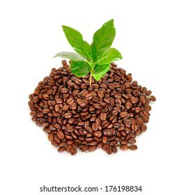 south American coffee exports 
dm for email