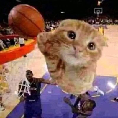 Casi_SoyFer's profile picture. como me cambio el nombre de abajo