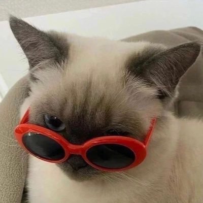 arianaaa_06's profile picture. 