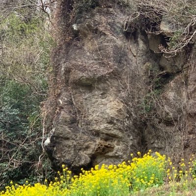 いわき市内郷白水町（弥勒沢）は、常磐炭田発祥の地であり、歴史が詰まった場所です。弥勒沢を訪れ、炭鉱の歴史を学んでみませんか。#常磐炭鉱 #みろく沢炭砿資料館 #常磐炭田 #石炭 #片寄平蔵 #加納作平 #湯本 #湯長谷藩 #いわき市 #弥勒沢 #鉱山 #渋沢栄一 #浅野総一郎 #産業革命 #フラガール