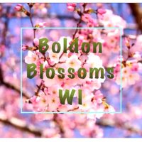 Boldon Blossoms WI(@BlossomsWi) 's Twitter Profile Photo