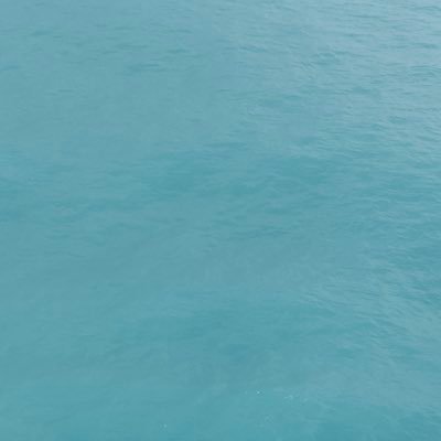 sunseeker34341's profile picture. 