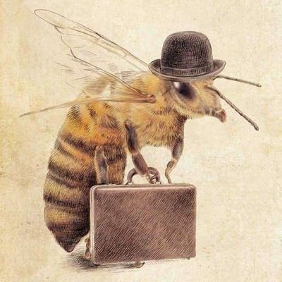 jwidbr's profile picture. Why be, when you can bee🐝?