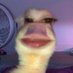 JuanDiego Sanchez Soto (@soto_juand44955) Twitter profile photo JuanDiego Sanchez Soto (@soto_juand44955) Twitter profile photo