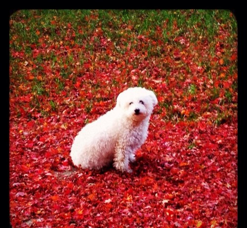 WaityK's profile picture. 29 year-old new mama to a lovely baby girl born July 2012, thanks to IVF!