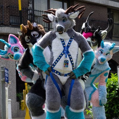 Bleating up the scene, part time birb perch, lubs @FoxKodia ❤️, @RandDfursuits suitor, cult member of @amiraallis banner by @QuiteDaHoot, why deer blue?
