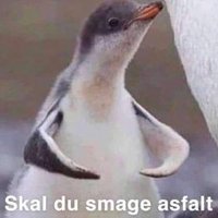 m0ment (@m0mentcsgo) 's Twitter Profile