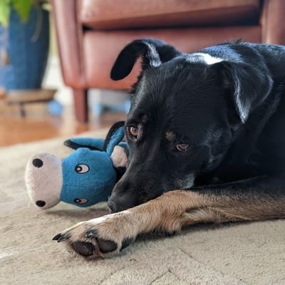 amy_rainone's profile picture. 