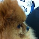 Iris Ko - @irisko0812 - Twitter