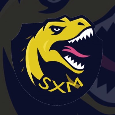 NA-East • Controller Player • Just for Fun @soccerxmaniac all socials