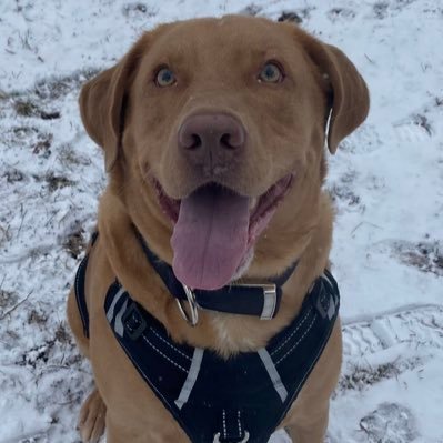 pfmac2's profile picture. 