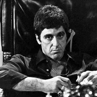 leivabastian481's profile picture. 