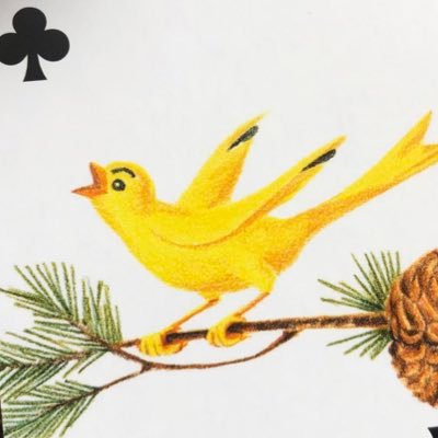 poppy_627's profile picture. ま、いっか！精神を身につけたい