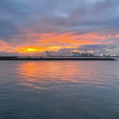 JaJa_TIGER's profile picture. 身長高く図体の割に握力は弱いです