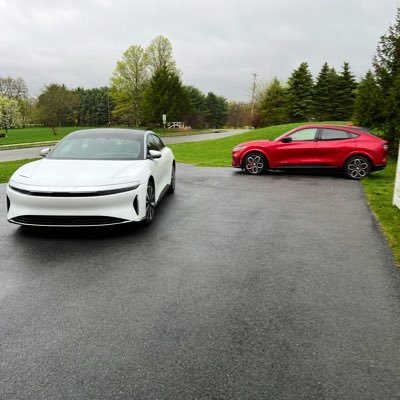 zilladigs's profile picture. 