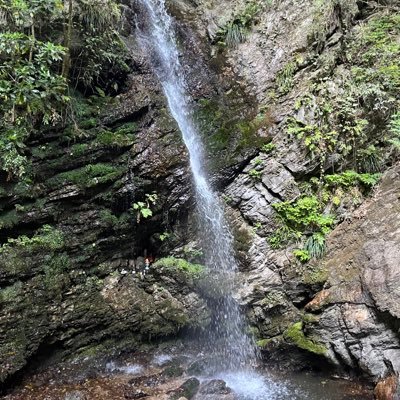 nono_yto's profile picture. 